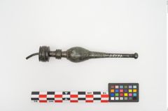 Foto von Bronzenadelspitzenschoner (NHMW-PRAE-026597)